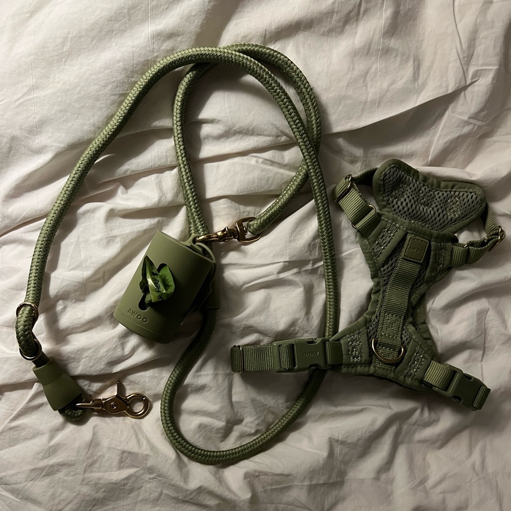 Awoo Walk Set Bundle